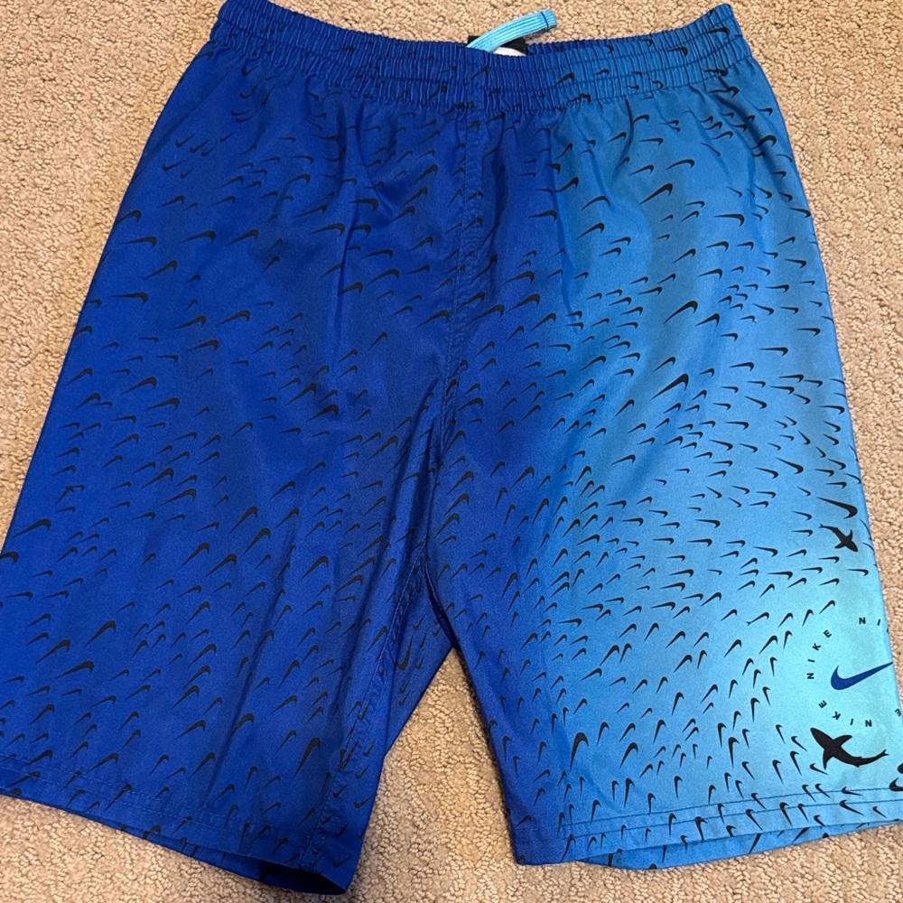 Nike Boy’s Gradient Blue Board Shorts